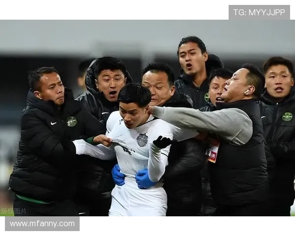 杭州排球队意识争议引发热议球迷与专家观点碰撞激烈