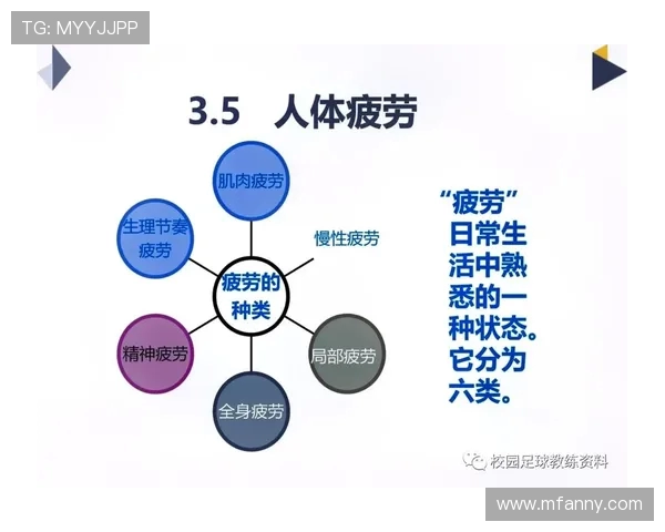 全面提升体能与运动表现的科学方法与训练技巧解析