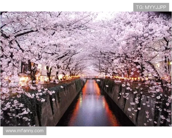 大阪樱花与东京FC激战正酣谁能在这场对决中笑到最后